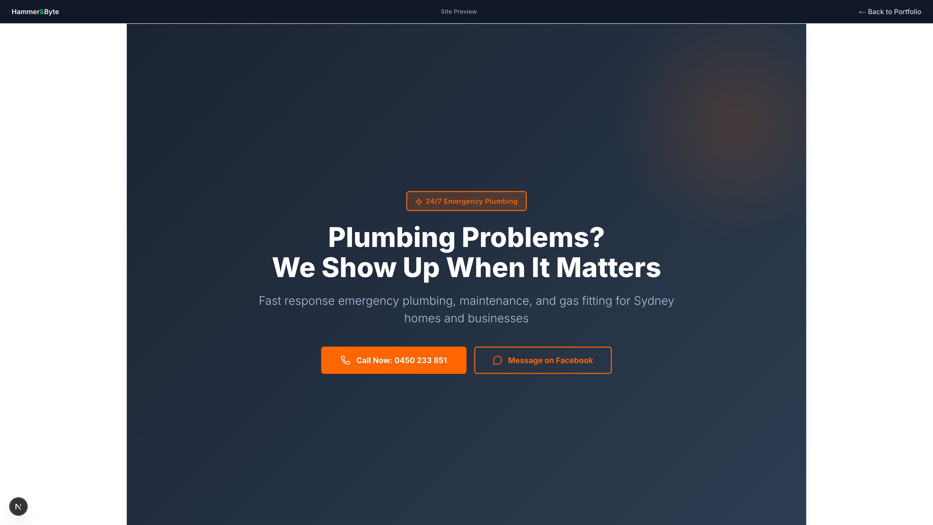 Quick Smart Plumbing Sydney website preview